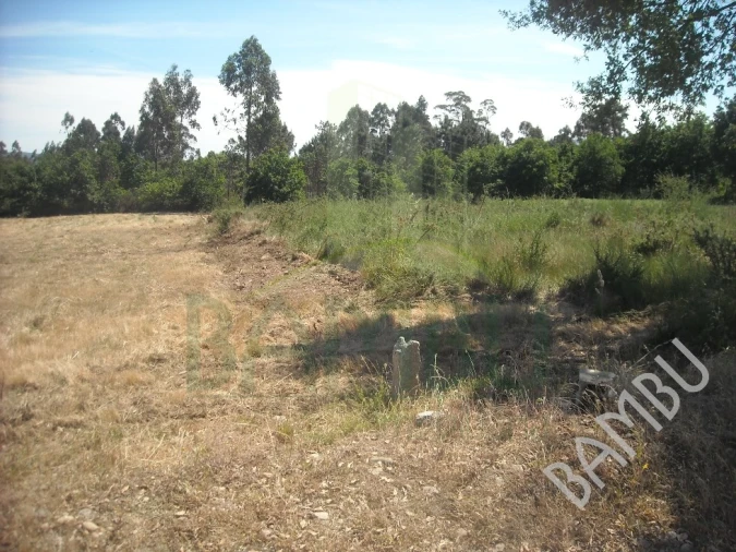Terreno para Venda em Valença, Cristelo Covo e Arão Foto 2