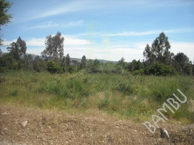 Terreno para Venda em Valença, Cristelo Covo e Arão Foto 3