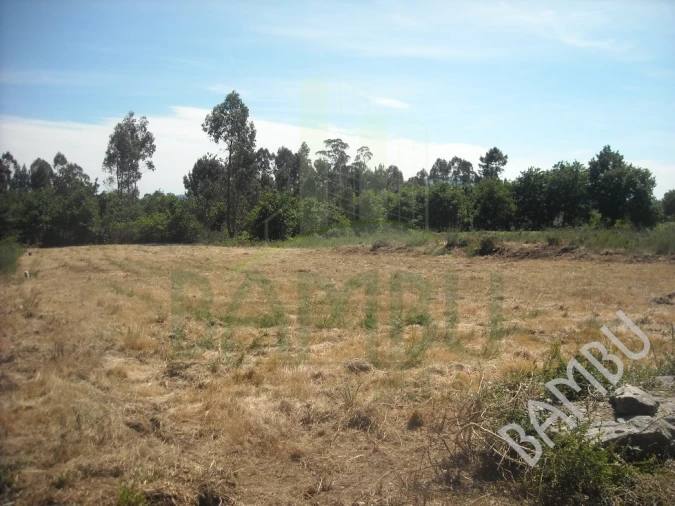 Terreno para Venda em Valença, Cristelo Covo e Arão Foto 6