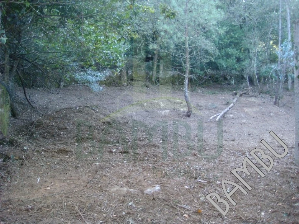 Terreno para Venda em Vilar de Mouros Foto 2