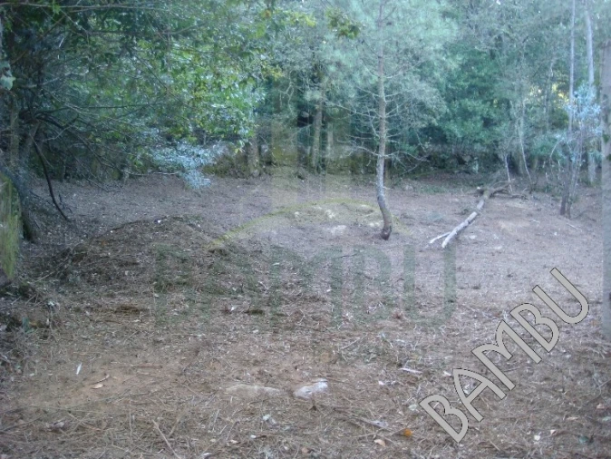 Terreno para Venda em Vilar de Mouros Foto 2