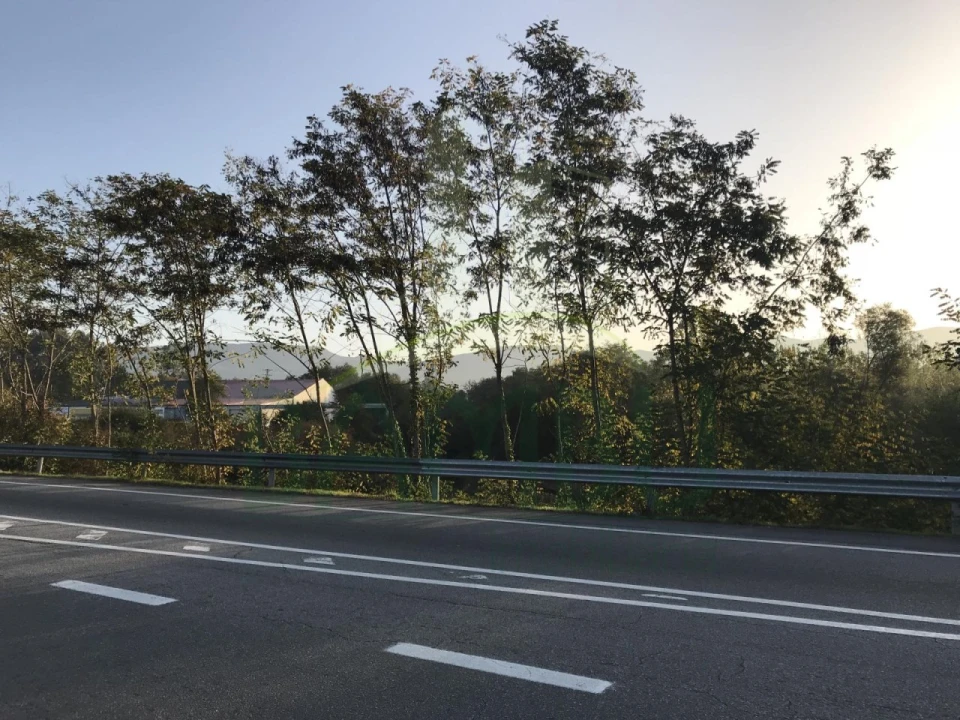 Terreno para Venda em Gandra e Taião Foto 4