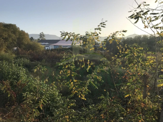 Terreno para Venda em Gandra e Taião Foto 6
