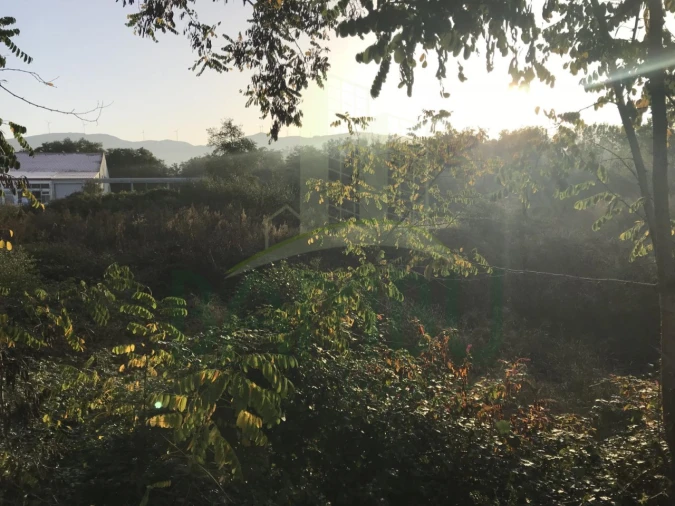 Terreno para Venda em Gandra e Taião Foto 8