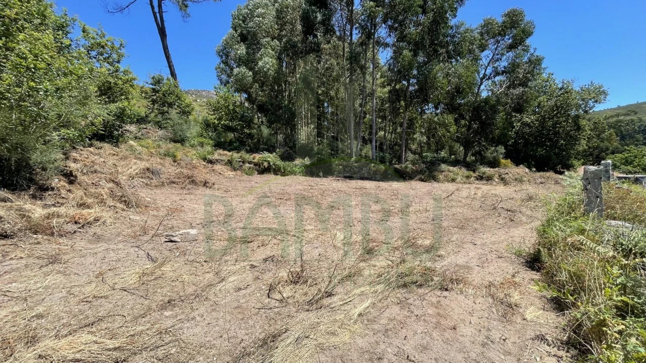 Terreno para Venda em Gandra e Taião Foto 1