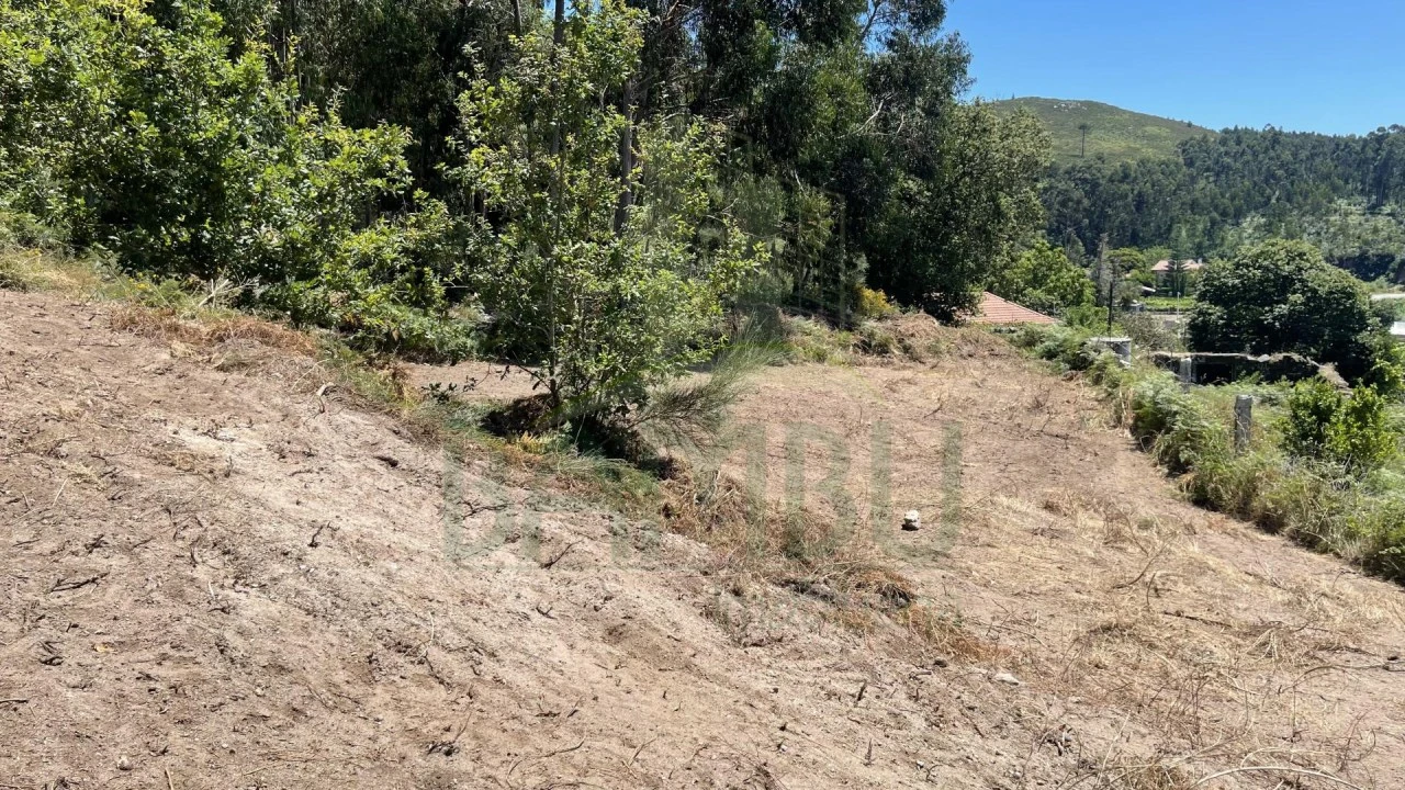 Terreno para Venda em Gandra e Taião Foto 3