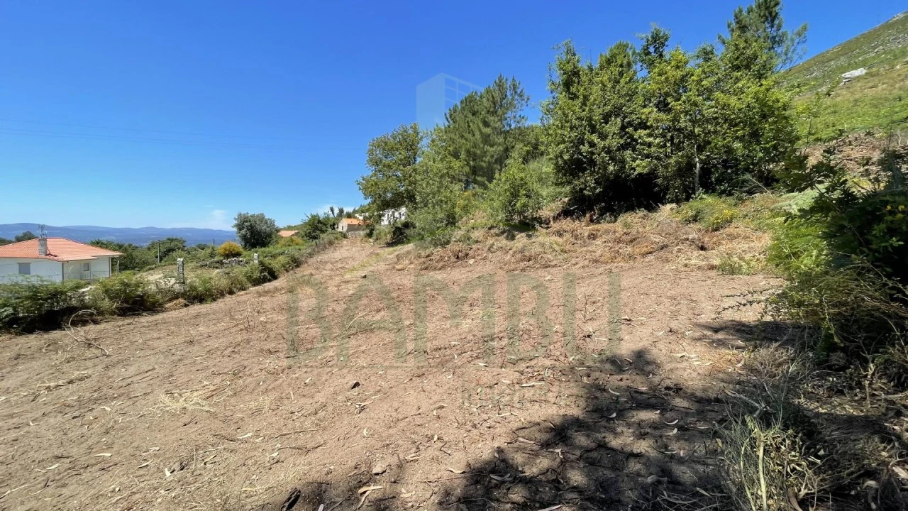 Terreno para Venda em Gandra e Taião Foto 9