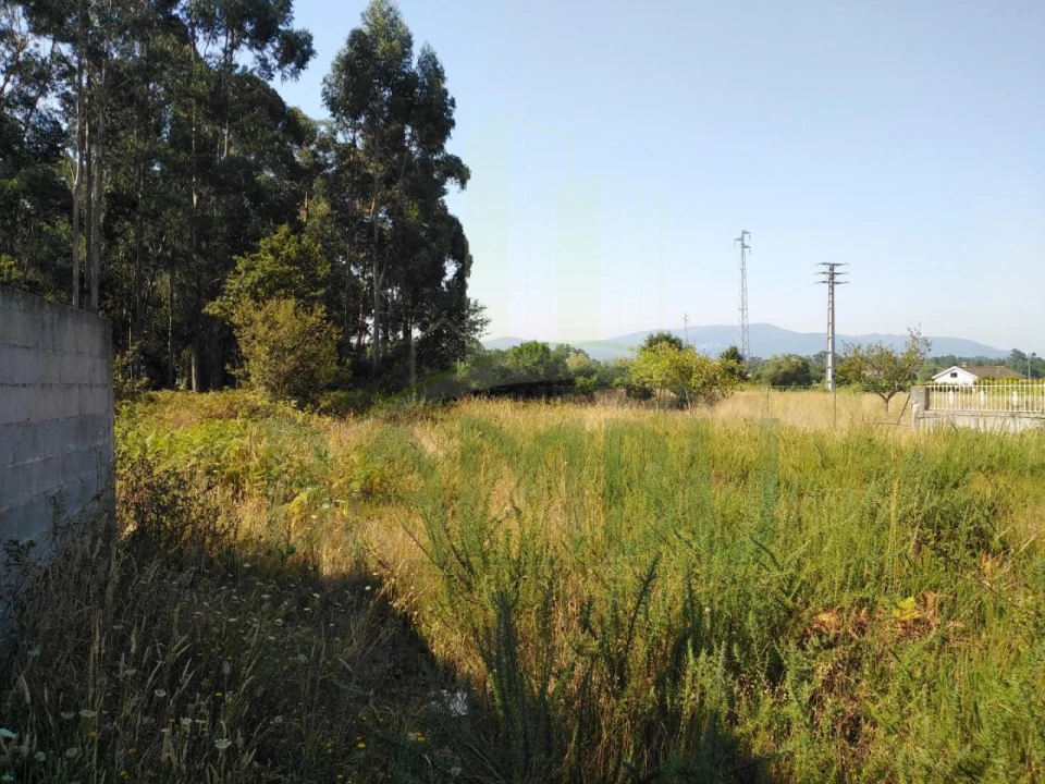 Terreno para Venda em Gandra e Taião Foto 2