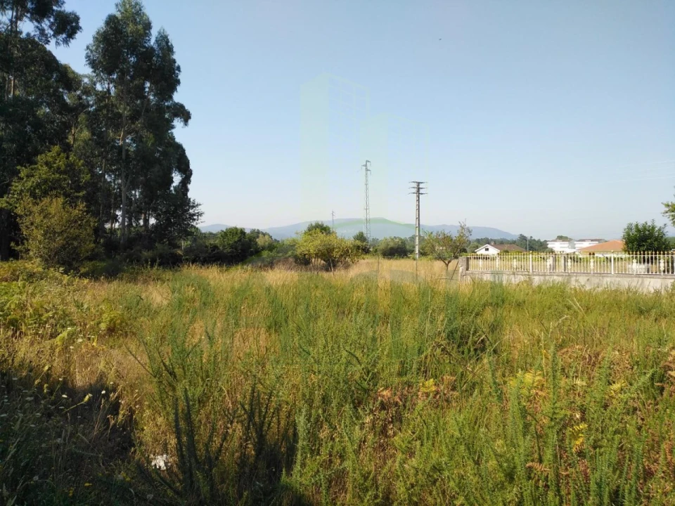 Terreno para Venda em Gandra e Taião Foto 1