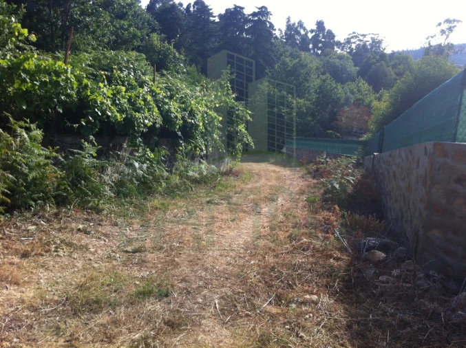 Terreno para Venda em Vilar de Mouros Foto 12