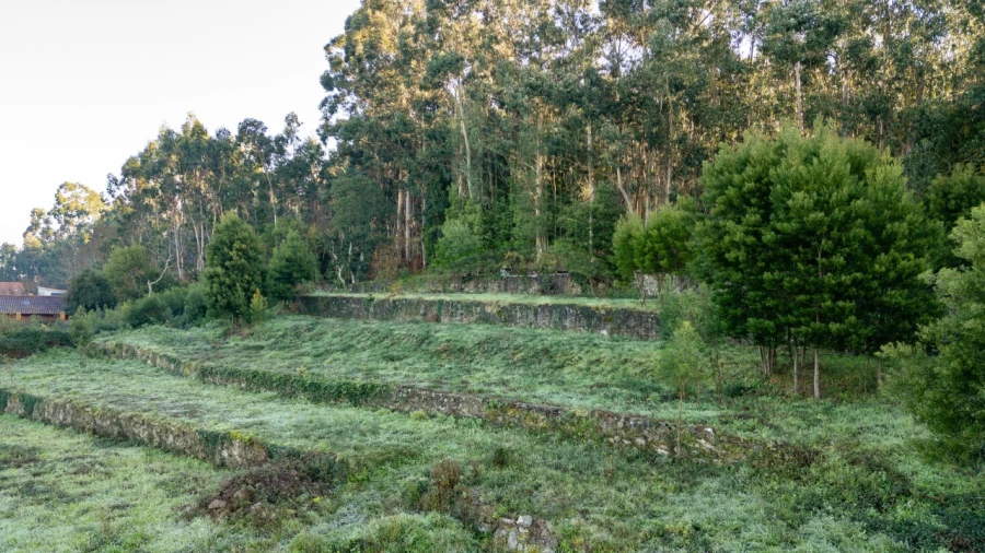Terreno para Venda em Vilar de Mouros Foto 6