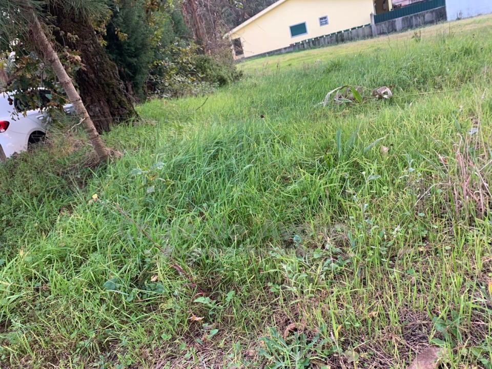 Terreno Agricola ou Rústico para Venda em Oiã Foto 5
