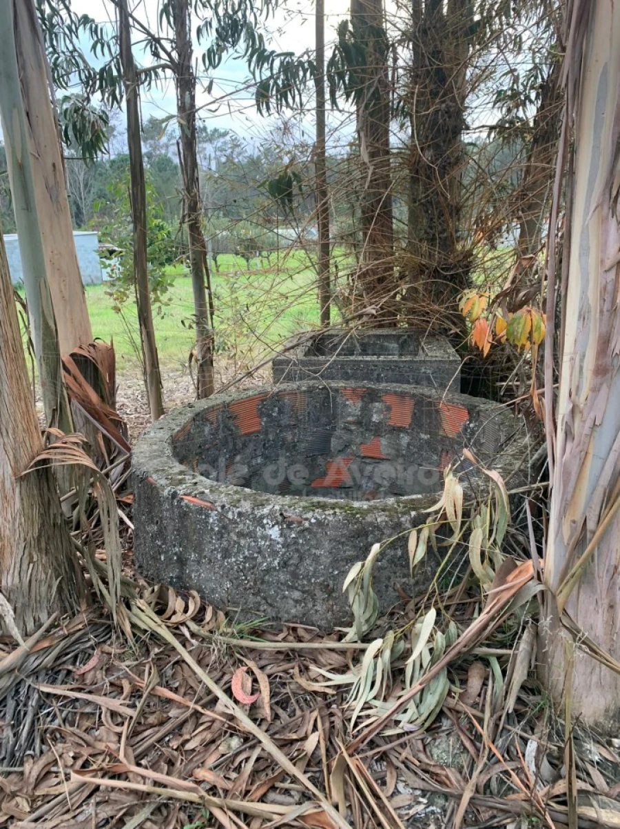 Terreno Agricola ou Rústico para Venda em Oiã Foto 2