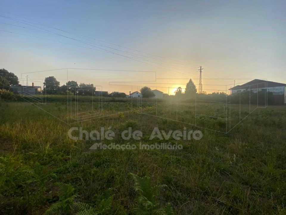 Terreno para Venda em Trofa, Segadães e Lamas do Vouga Foto 2
