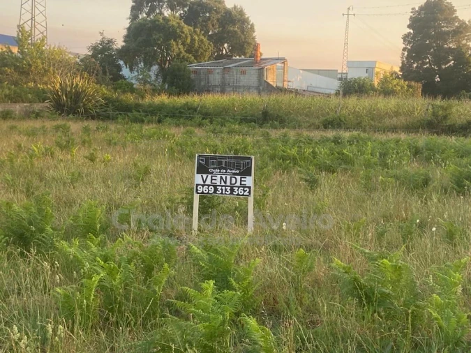 Terreno para Venda em Trofa, Segadães e Lamas do Vouga Foto 3