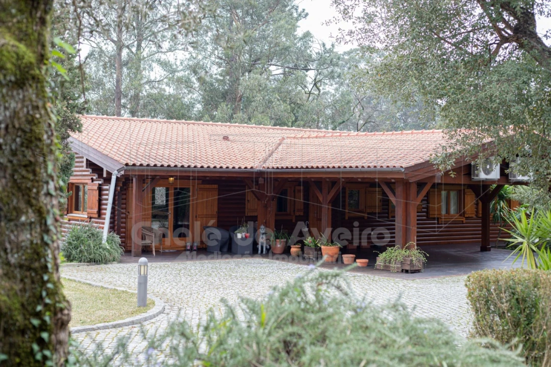 Quinta T8 para Venda em O. Azeméis, Riba-Ul, Ul, Macinhata Seixa, Madail Foto 12