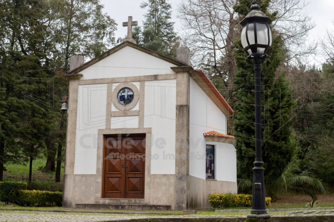 Quinta T8 para Venda em O. Azeméis, Riba-Ul, Ul, Macinhata Seixa, Madail Foto 39