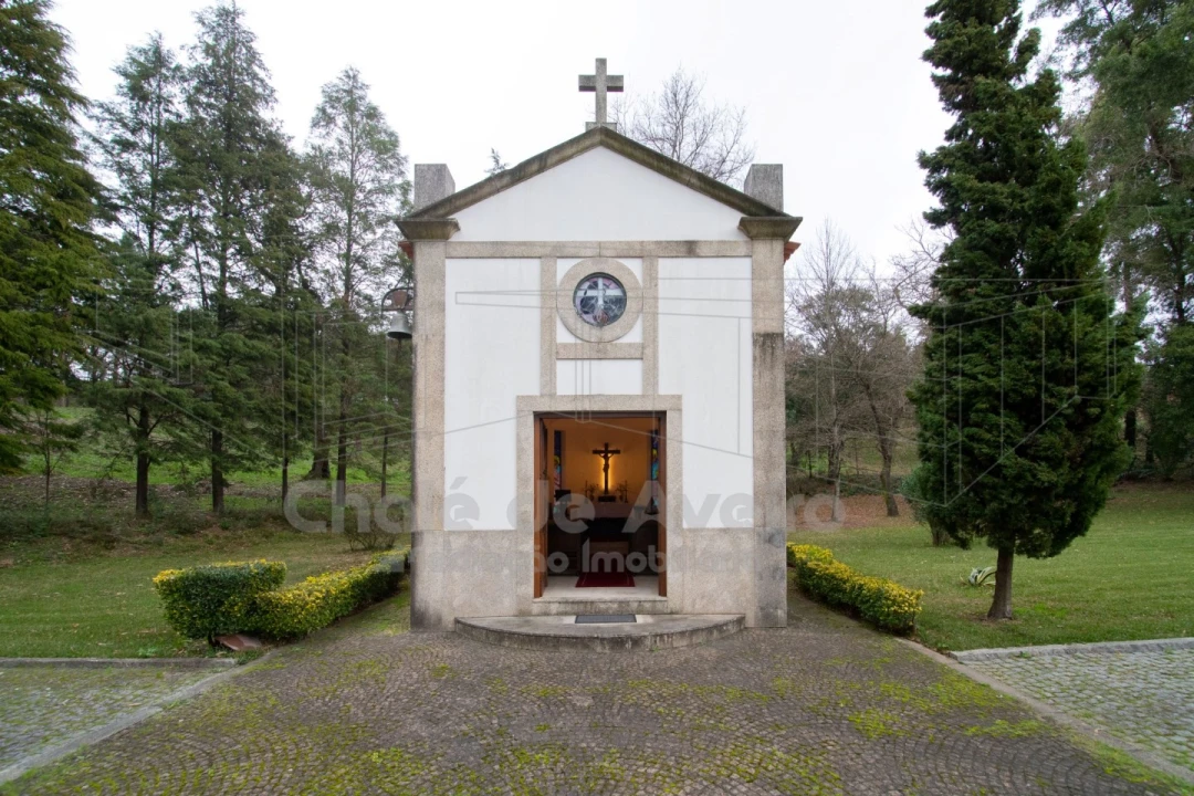 Quinta T8 para Venda em O. Azeméis, Riba-Ul, Ul, Macinhata Seixa, Madail Foto 41
