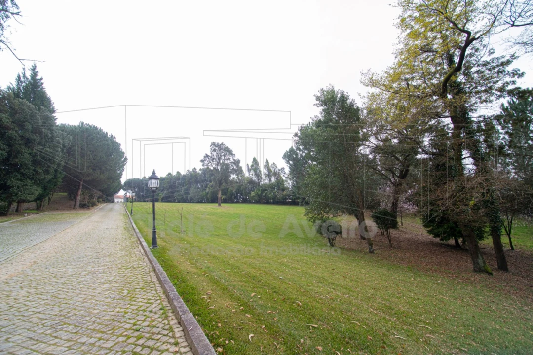 Quinta T8 para Venda em O. Azeméis, Riba-Ul, Ul, Macinhata Seixa, Madail Foto 44