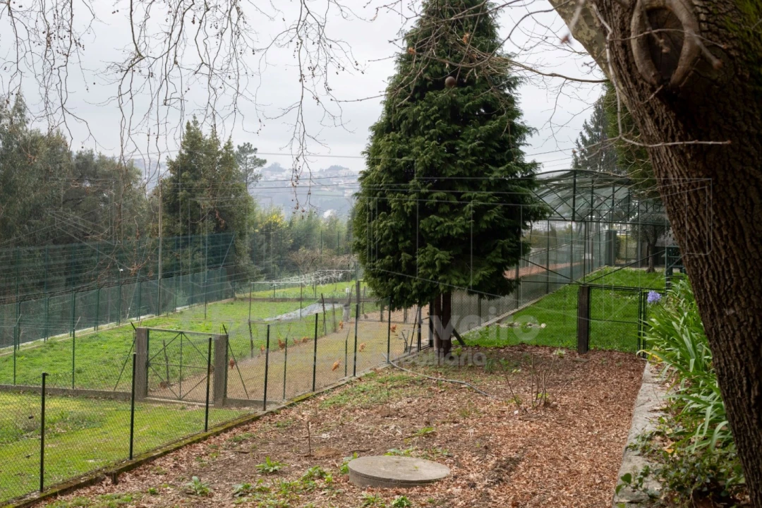 Quinta T8 para Venda em O. Azeméis, Riba-Ul, Ul, Macinhata Seixa, Madail Foto 47
