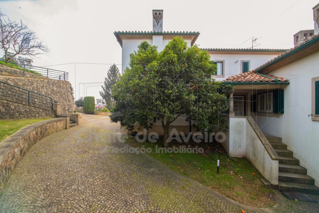 Quinta T8 para Venda em O. Azeméis, Riba-Ul, Ul, Macinhata Seixa, Madail Foto 6