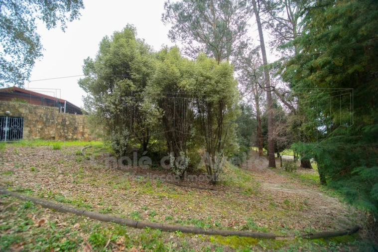 Quinta T8 para Venda em O. Azeméis, Riba-Ul, Ul, Macinhata Seixa, Madail Foto 46