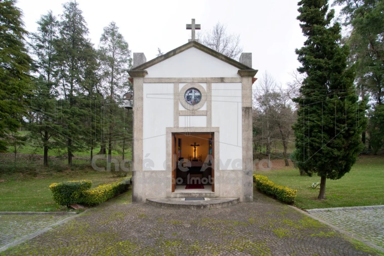 Quinta T8 para Venda em O. Azeméis, Riba-Ul, Ul, Macinhata Seixa, Madail Foto 41