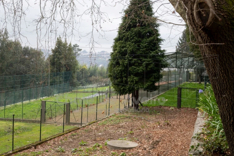 Quinta T8 para Venda em O. Azeméis, Riba-Ul, Ul, Macinhata Seixa, Madail Foto 47