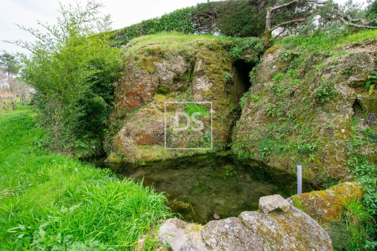 Moradia T3 para Venda em Campelo e Ovil Foto 6