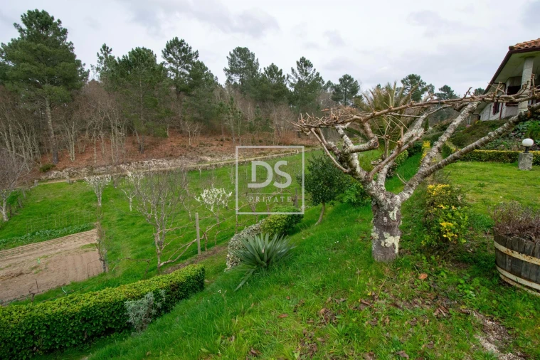 Moradia T3 para Venda em Campelo e Ovil Foto 51