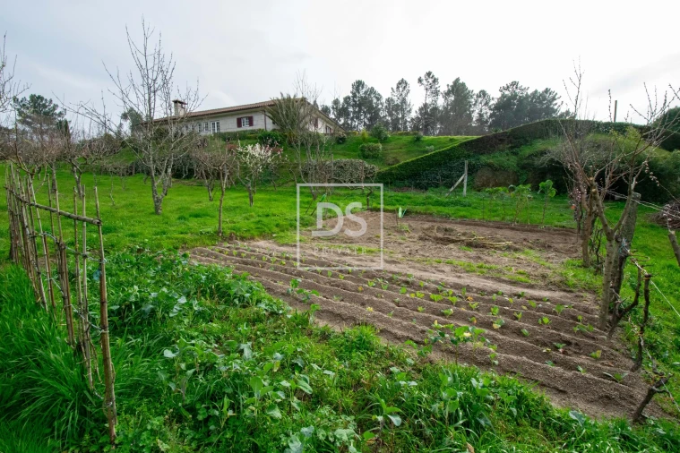 Moradia T3 para Venda em Campelo e Ovil Foto 50