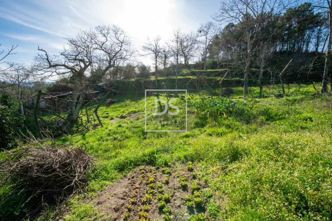 Quinta T2 para Venda em Grilo Foto 14