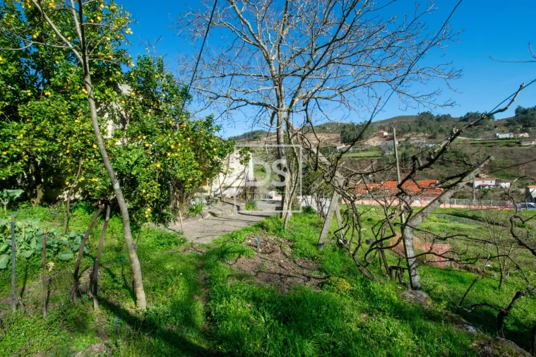 Quinta T2 para Venda em Grilo Foto 11