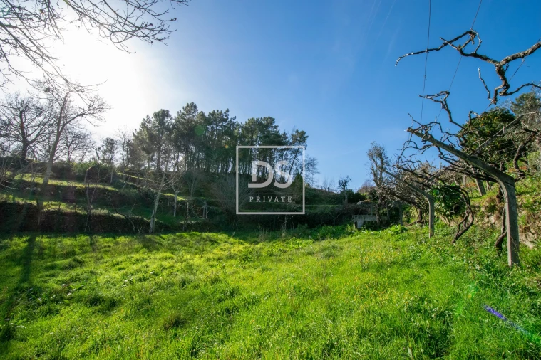 Quinta T2 para Venda em Grilo Foto 13