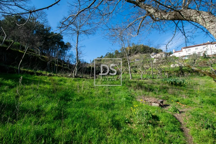 Quinta T2 para Venda em Grilo Foto 12