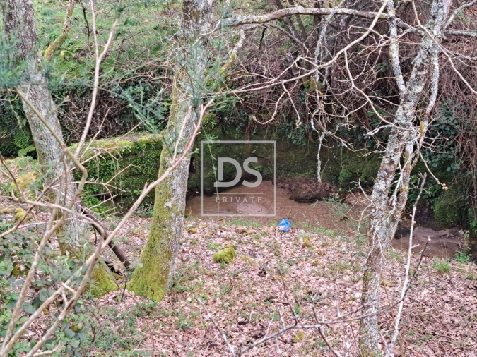 Quinta para Venda em Soalhães Foto 4