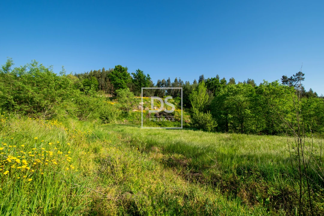 Quinta T2 para Venda em Santa Maria da Feira, Travanca, Sanfins e Espargo Foto 15