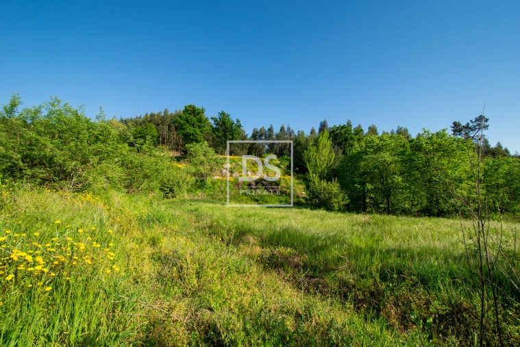 Quinta T2 para Venda em Santa Maria da Feira, Travanca, Sanfins e Espargo Foto 15