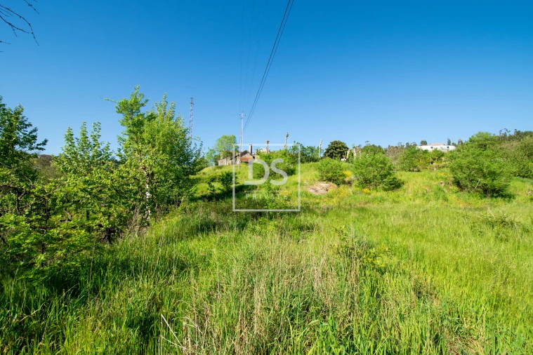Quinta T2 para Venda em Santa Maria da Feira, Travanca, Sanfins e Espargo Foto 16