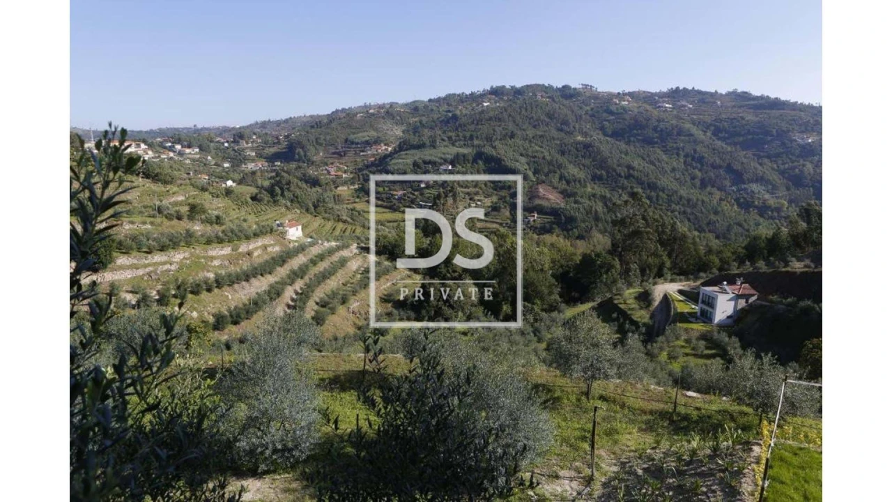 Quinta T10 para Venda em Paredes de Viadores e Manhuncelos Foto 3