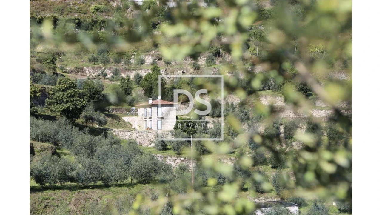 Quinta T10 para Venda em Paredes de Viadores e Manhuncelos Foto 9