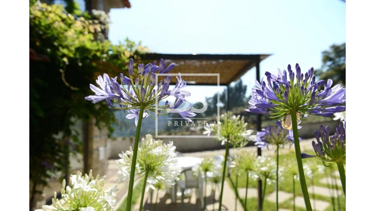 Quinta T10 para Venda em Paredes de Viadores e Manhuncelos Foto 21