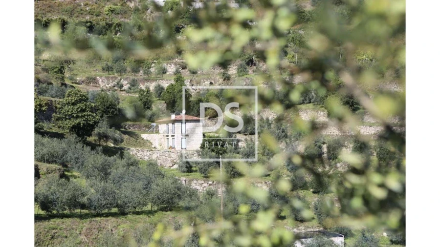 Quinta T10 para Venda em Paredes de Viadores e Manhuncelos Foto 9