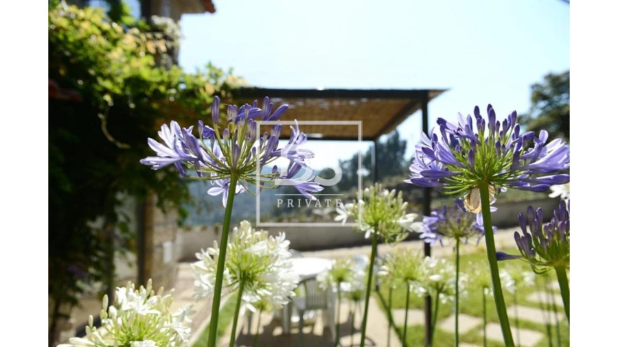 Quinta T10 para Venda em Paredes de Viadores e Manhuncelos Foto 21