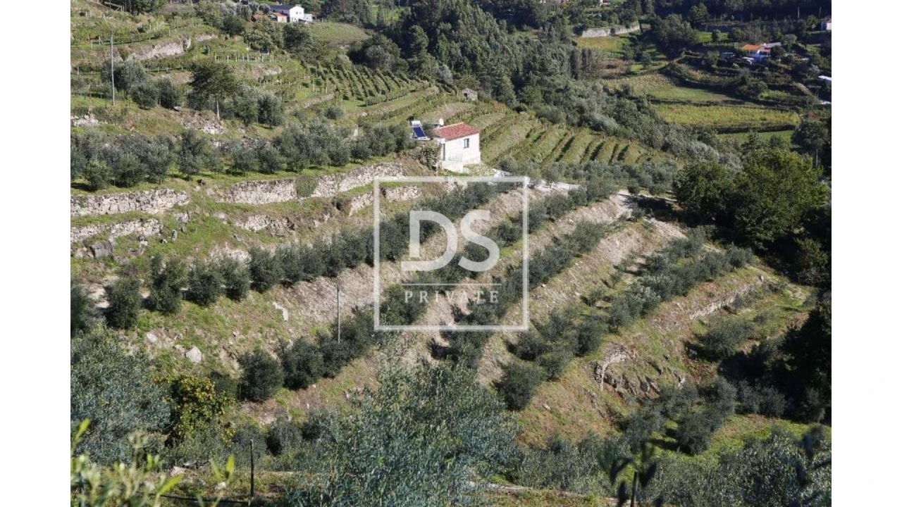 Quinta T10 para Venda em Paredes de Viadores e Manhuncelos Foto 10