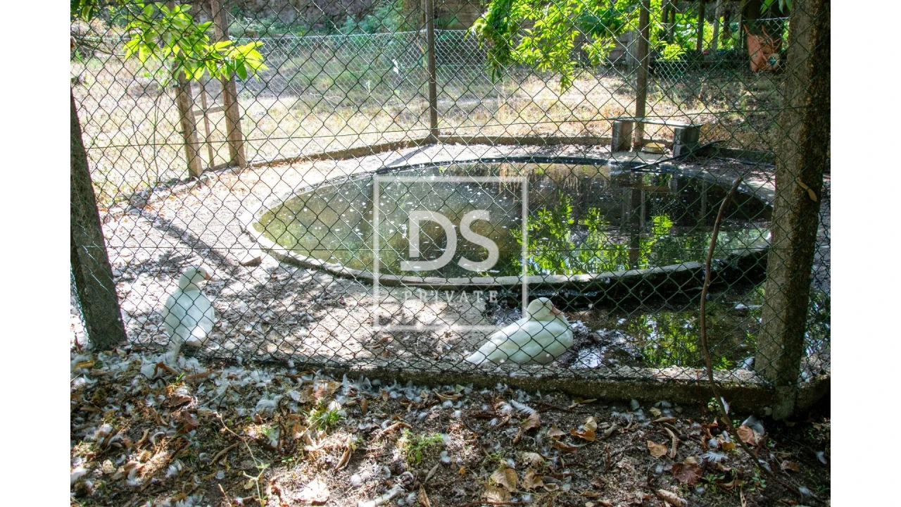 Quinta para Venda em Tabuado Foto 17