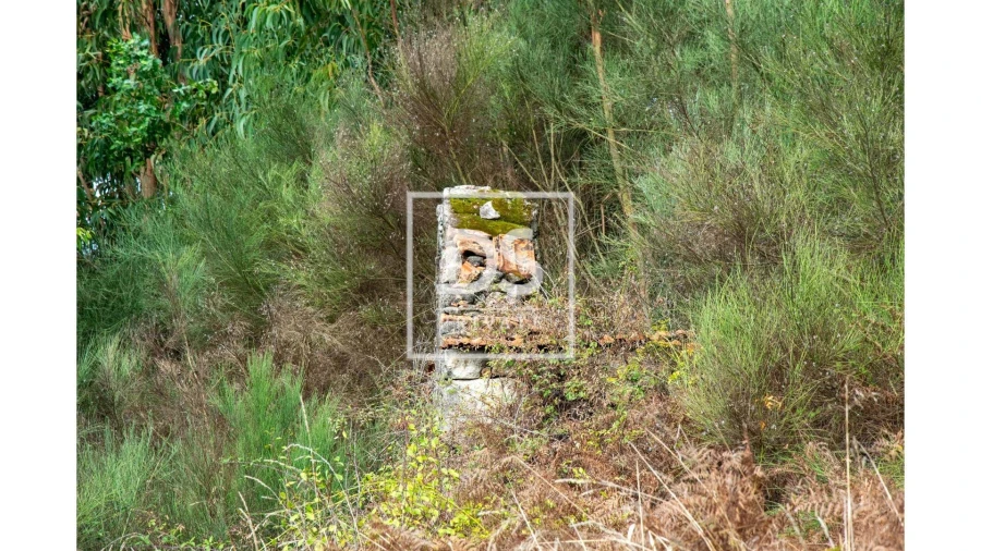 Moradia T2 para Venda em Vila Boa do Bispo Foto 4