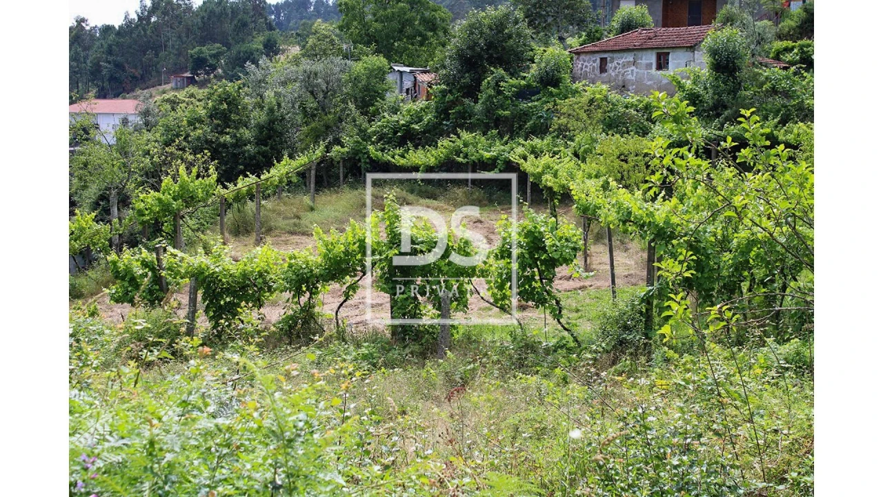 Terreno Agricola ou Rústico para Venda em Souselo Foto 1