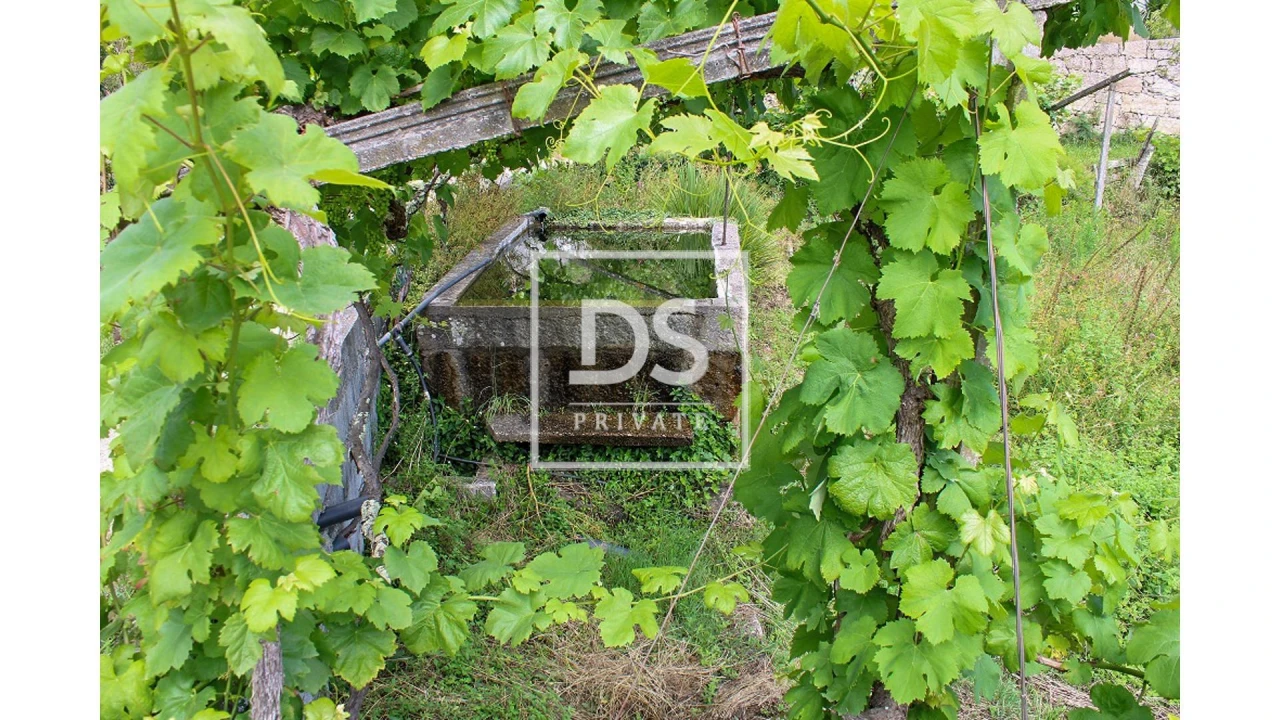 Terreno Agricola ou Rústico para Venda em Souselo Foto 9