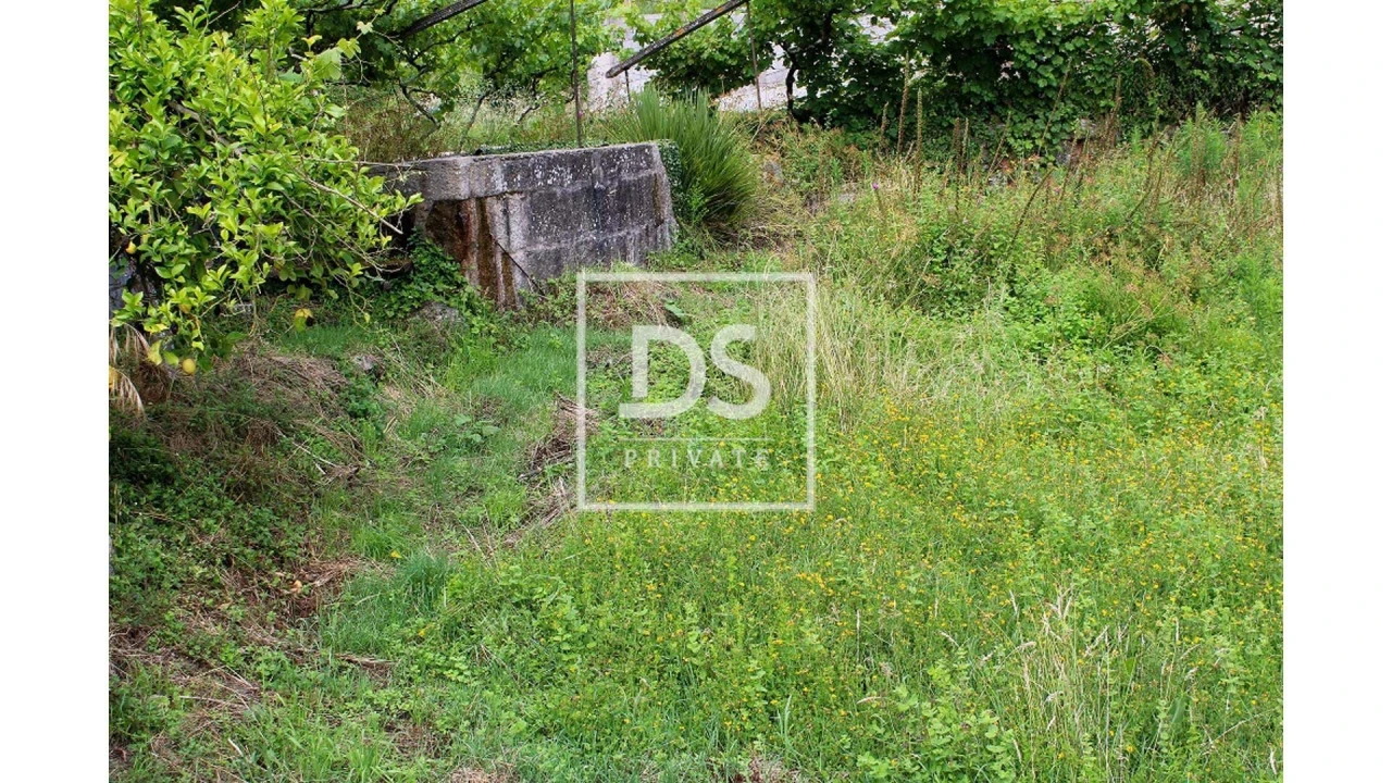 Terreno Agricola ou Rústico para Venda em Souselo Foto 11